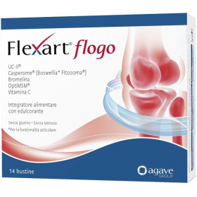 FLEXART FLOGO 14BUST NF
