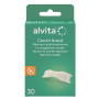 ALVITA CER NASALE 30PZ