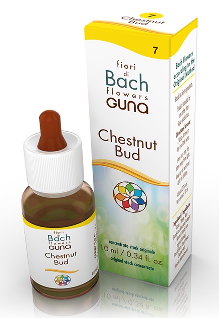 CHESTNUT BUD GOCCE 10 ML - Farmacia Mastrangelo 