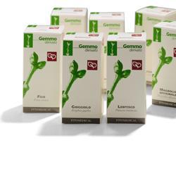 AGNOCASTO MACERATO GLICERICO 200 ML - Farmacia Mastrangelo 