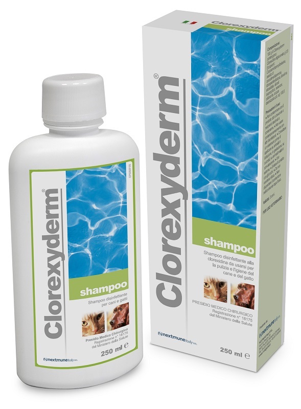 CLOREXYDERM SHAMPOO 250 ML - Farmacia Mastrangelo 