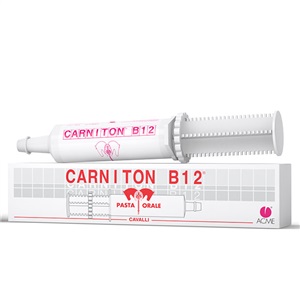 CARNITON B 12 PASTA SIRINGA 100 G - Farmacia Mastrangelo 