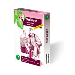ENOLOGICO SERBASCO 5BUST 15G - Farmacia Mastrangelo 