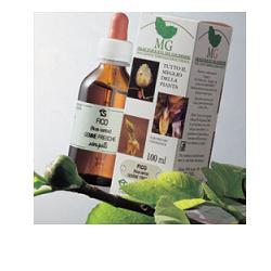 RIBES MACERATO GLICERICO 100 ML - Farmacia Mastrangelo 