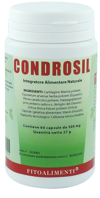 CONDROSIL 60 CAPSULE - Farmacia Mastrangelo 