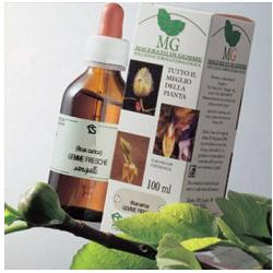 BETULLA MACERATO GLICERICO 100 ML - Farmacia Mastrangelo 