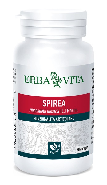 SPIREA ULMARIA 60 CAPSULE 400 MG - Farmacia Mastrangelo 
