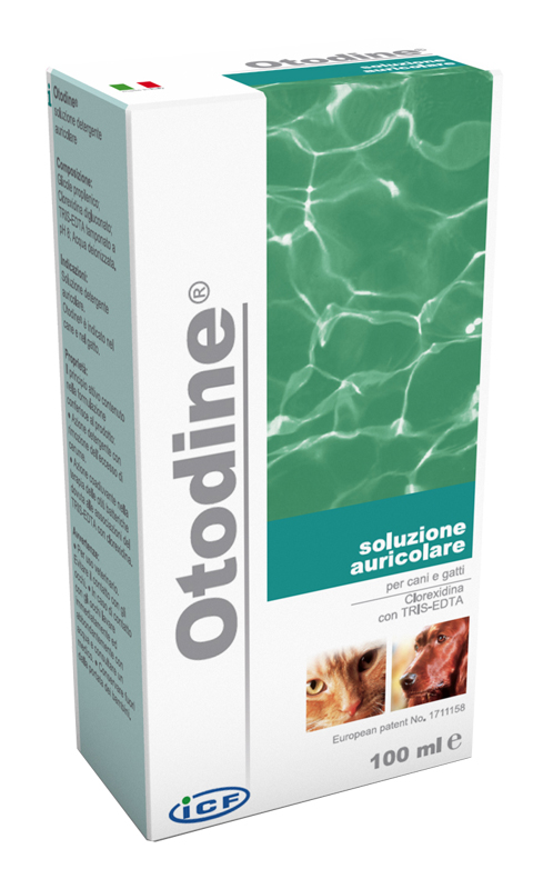 OTODINE DETERGENTE LIQUIDO 100 ML - Farmacia Mastrangelo 