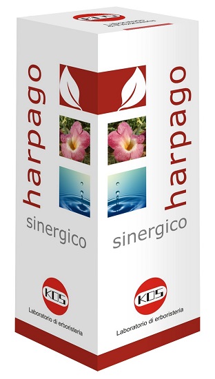 HARPAGO SINERGICO GOCCE 100 ML - Farmacia Mastrangelo 