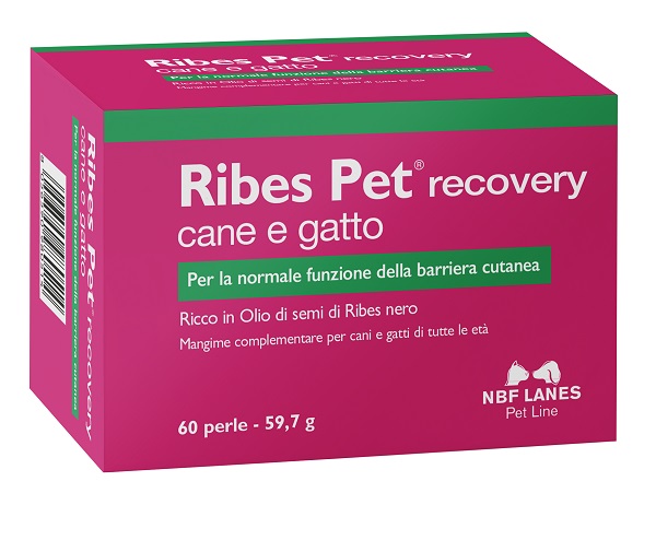 RIBES PET RECOVERY BLISTER 60 PERLE - Farmacia Mastrangelo 