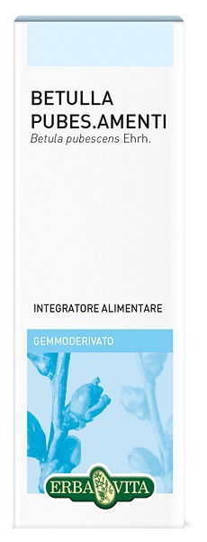 GEMMODERIVATO BETULLA PUBESCENS 50 ML - Farmacia Mastrangelo 