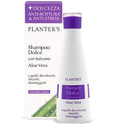 PLANTER'S SHAMPOO DOLCE ALL'ALOE VERA 200 ML - Farmacia Mastrangelo 