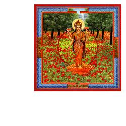 TRIPHAURUM GOCCE 30 ML - Farmacia Mastrangelo 