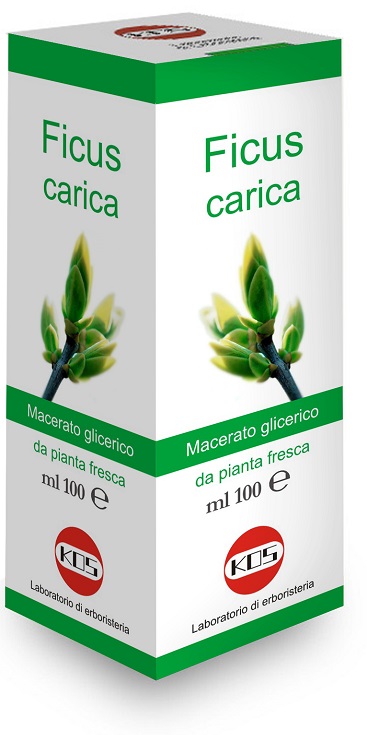 FICUS CARICA MACERATO GLICERICO 100 ML - Farmacia Mastrangelo 