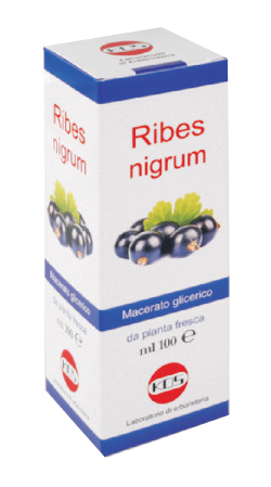 RIBES NIGRUM MACERATO GLICERICO 100 ML GOCCE - Farmacia Mastrangelo 