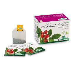 INFUSO BIO FRUTTA FRUTTI DI BOSCO 20 FILTRI - Farmacia Mastrangelo 