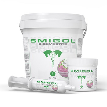 SMIGOL PASTA SIRINGA 100 G - Farmacia Mastrangelo 