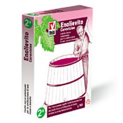 ENOLIEVITO CERVISIAE 100 G - Farmacia Mastrangelo 