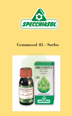 GEMMOSOL 43 SORBO 50ML - Farmacia Mastrangelo 