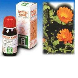 CALENDULA OFF 5 50ML TM - Farmacia Mastrangelo 