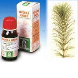 EQUISETO 12 50ML TM - Farmacia Mastrangelo 