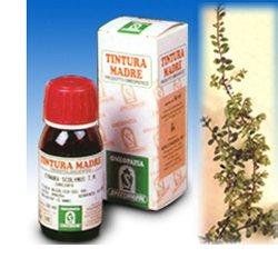 UVA URSINA 30 50ML TM - Farmacia Mastrangelo 