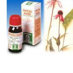 ECHINACEA 59 50ML TM - Farmacia Mastrangelo 