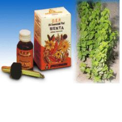 MENTA OLIO ESSENZIALE PURO 10 ML - Farmacia Mastrangelo 