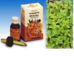ORIGANO OLIO ESSENZIALE PURO 10 ML - Farmacia Mastrangelo 