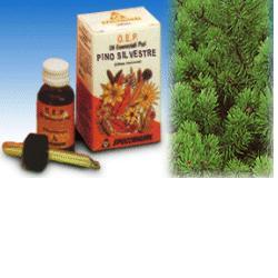 PINO SILVESTRE OLIO ESSENZIALE PURO 10 ML - Farmacia Mastrangelo 