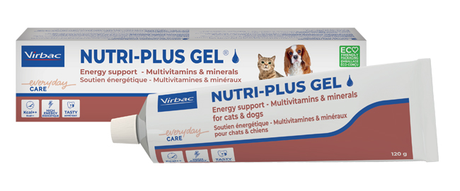 NUTRIPLUS GEL PASTA ORALE 120 G - Farmacia Mastrangelo 