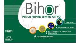 BIHOR DIET RUMINATIVO 12 BUSTE DA 125 G - Farmacia Mastrangelo 