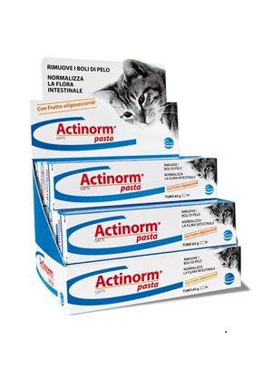 ACTINORM PASTA GATTI 65 G - Farmacia Mastrangelo 