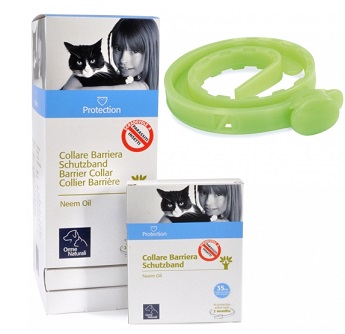 PROTECTION COLLARE BARRIERA GATTO - Farmacia Mastrangelo 