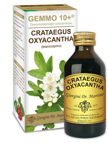 GEMMO 10+ BIANCOSPINO LIQUIDO ANALCOLICO 100 ML - Farmacia Mastrangelo 