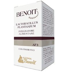 BENOIT LACTOBACILLUS PLANTHARUM 30 CAPSULE - Farmacia Mastrangelo 