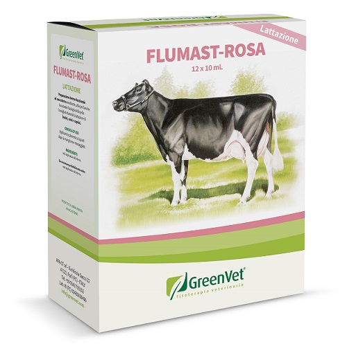 GREENVET FLUMAST ROSA DERM 12 SIRINGHE DA 10 ML - Farmacia Mastrangelo 