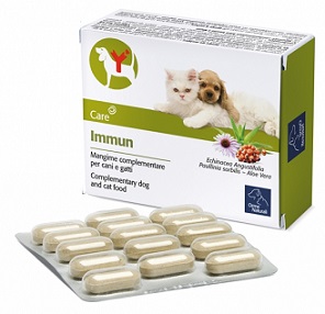 IMMUN 60 COMPRESSE - Farmacia Mastrangelo 