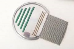 PETTINE ACCIAIO PER RIMOZIONE PIDOCCHI - Farmacia Mastrangelo 
