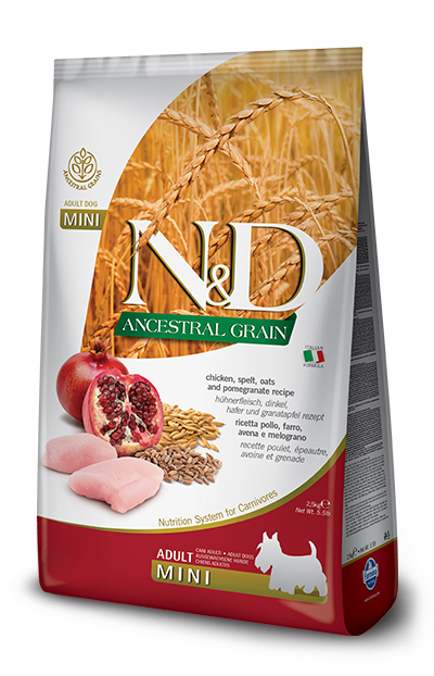 N&D ANCESTRAL CEREALS CANINE CHICKEN & POMEGRANATE ADULT MINI 800 G - Farmacia Mastrangelo 