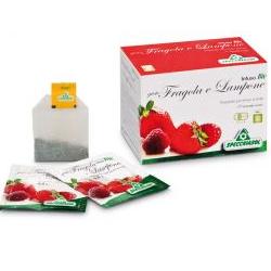 INFUSO BIO FRAGOLA E LAMPONE 20 FILTRI - Farmacia Mastrangelo 