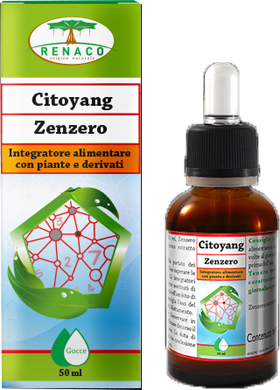 CITOYANG ZENZERO GOCCE FLACONCINO 50 ML - Farmacia Mastrangelo 