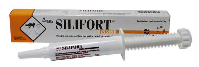 SILIFORT PASTA OS SIRINGA 15 G - Farmacia Mastrangelo 