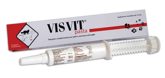 VISVIT PASTA OS SIRINGA 15 G - Farmacia Mastrangelo 