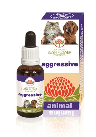 AGGRESSIVE 30 ML - Farmacia Mastrangelo 