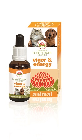 VIGOR & ENERGY 30 ML - Farmacia Mastrangelo 