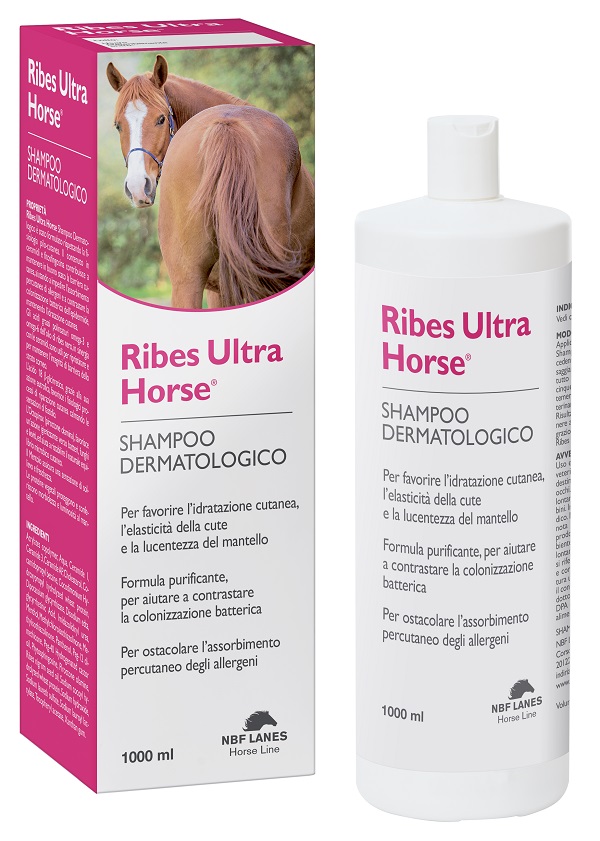 RIBES HORSE ULTRA SHAMPOO DERMATOLOGICO 1 LITRO - Farmacia Mastrangelo 