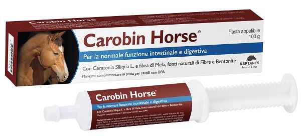 CAROBIN HORSE PASTA APPETIBILE SIRINGA 100 G - Farmacia Mastrangelo 