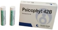 PSICOPHYT REMEDY 42B 4 TUBI 1,2G - Farmacia Mastrangelo 