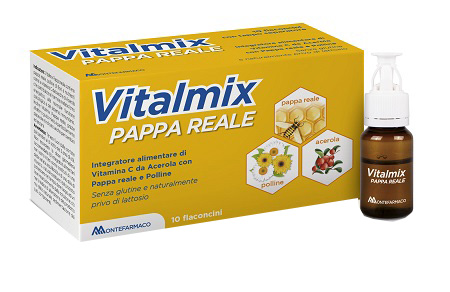 VITALMIX PAPPA REALE 10FLACONCINI X10 ML S/GL - Farmacia Mastrangelo 